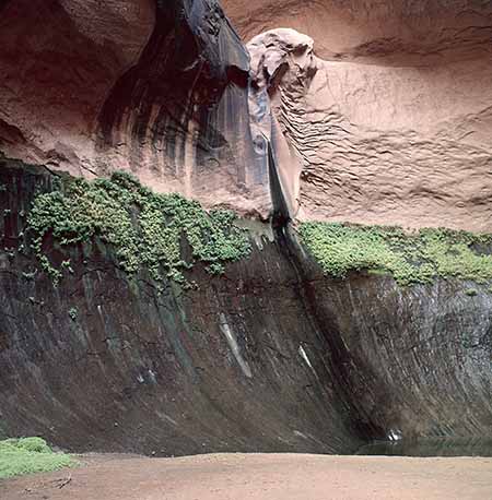 Cathedral in the Desert water fall and spring weep wall