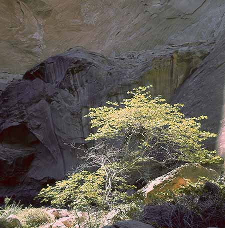 Little Arch Canyon