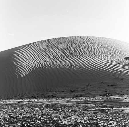 Sand Ripples Forgotton Canyon