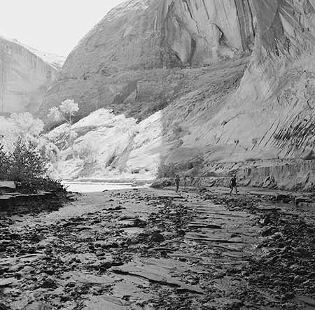 Moqui Canyon walkers midground