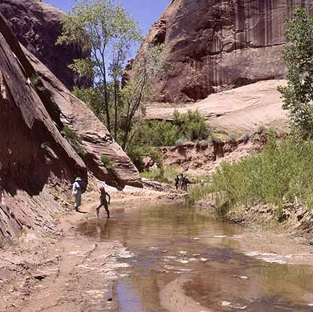Moqui Canyon w people