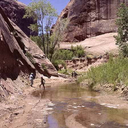 Moqui Canyon w  people