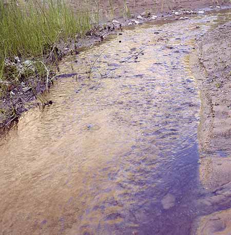 Smith Fork Creek water color