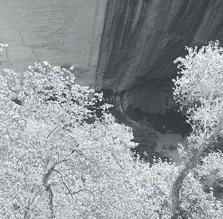 Music Temple with Tree in FG