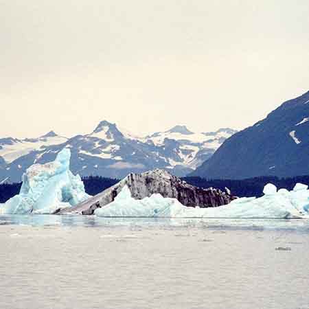 Alsek Lake and icebergs